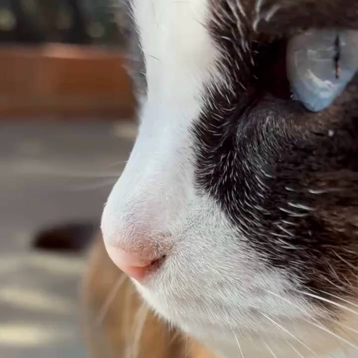 Aaec173a 190b 4286 8abc d4b0fe7d381a 1768302319589