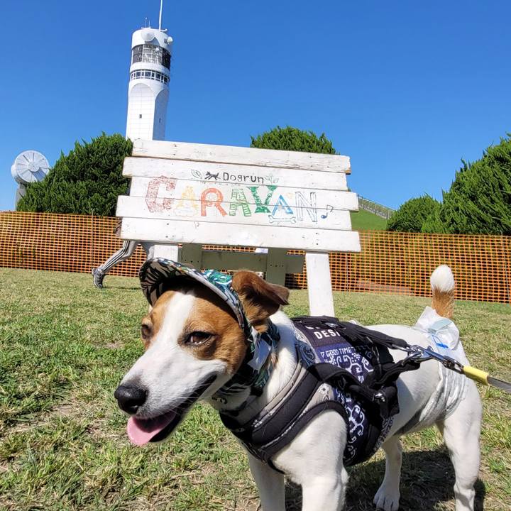 Aaec26b5 21c5 4c80 852c 98a70b162d52 1715556642959