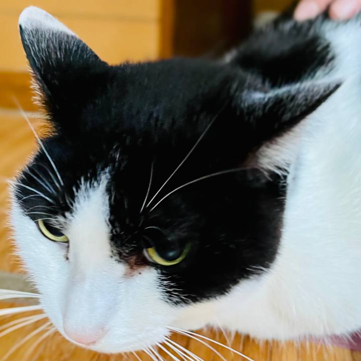 Aaec3a29 e73e 4022 a7c5 54ff4398cbc8 1608352015014