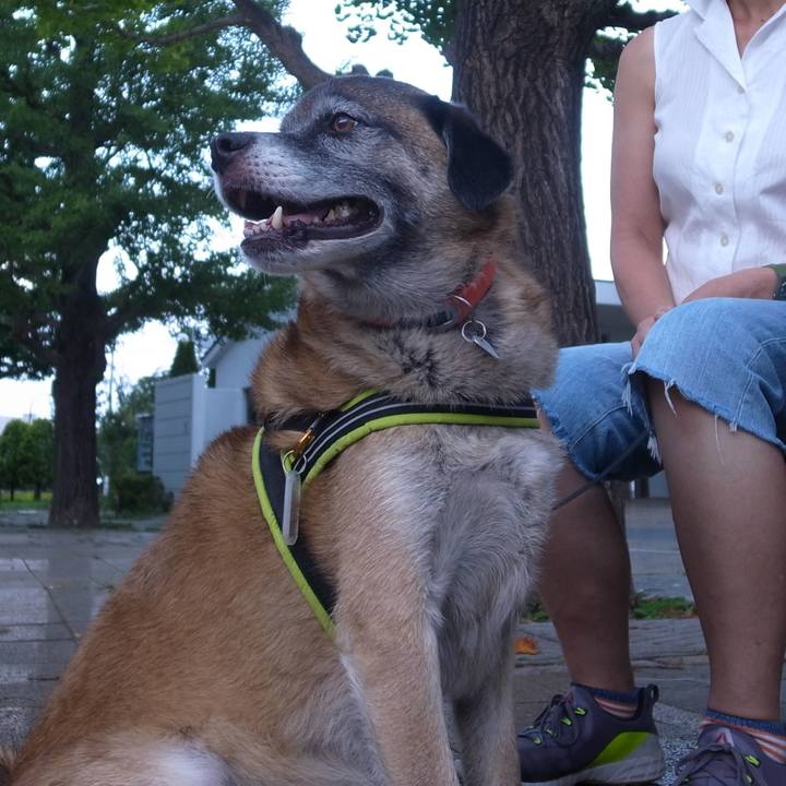 Aaec3def 4267 46eb 9043 3925d28b690b 1588414038362