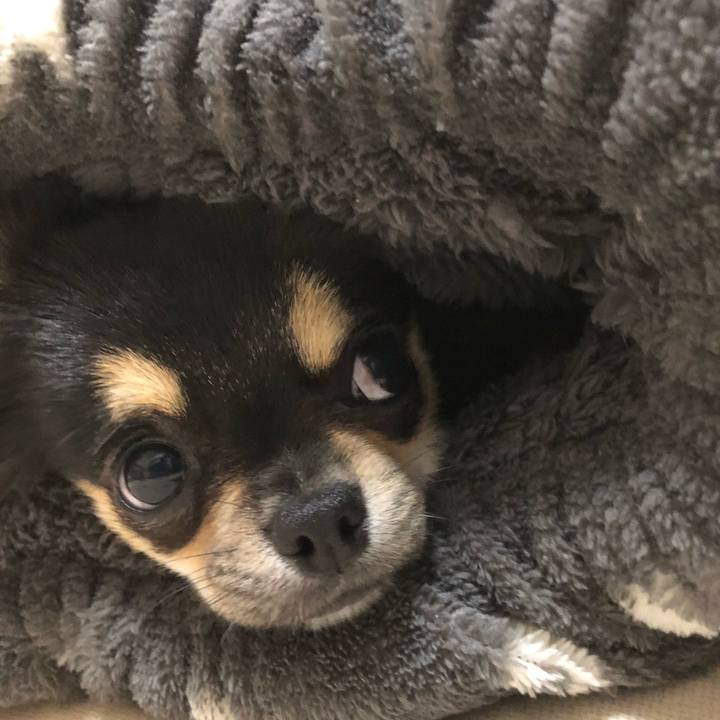 Aaecd499 1d73 4420 b04e ea5df8cad6f5 1544182069745