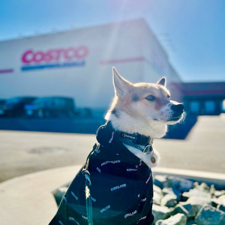 Aaece3c8 720e 4f44 8464 2ddc443cc6e6 1764813995831