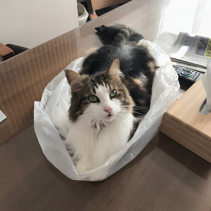 Aaece4dd bdf2 408d bd96 531939f05d61 1532074905330