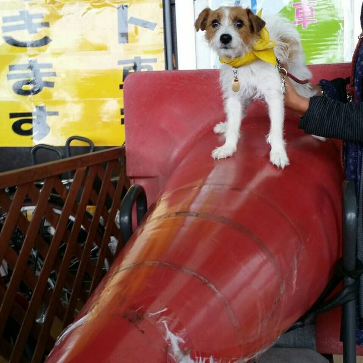 Aaece8de a51b 4dc5 b8bb c876806c13f0 1538260334887