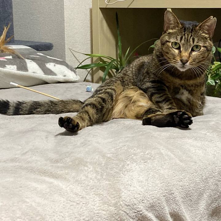 Aaecea34 f426 40d9 8846 e07375002813 1615116614060