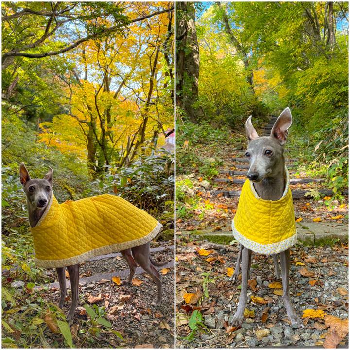 Aaed0a1e d0d7 47bc 8ca9 dfb7112750fd 1763895150591