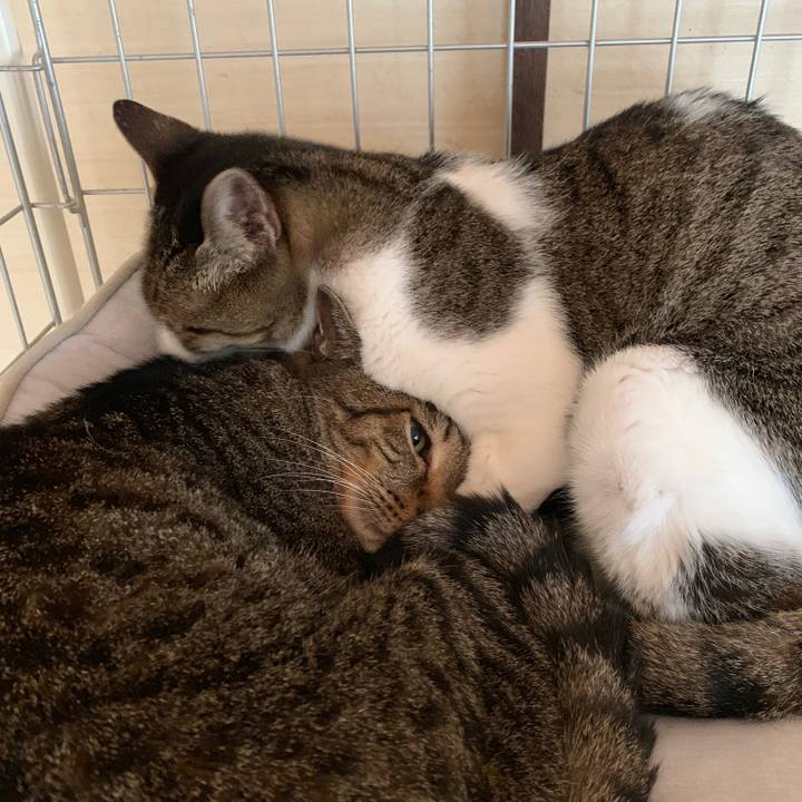 Aaed0ced f8dd 4d5d a22a 8b7b6cf611d2 1563328891907