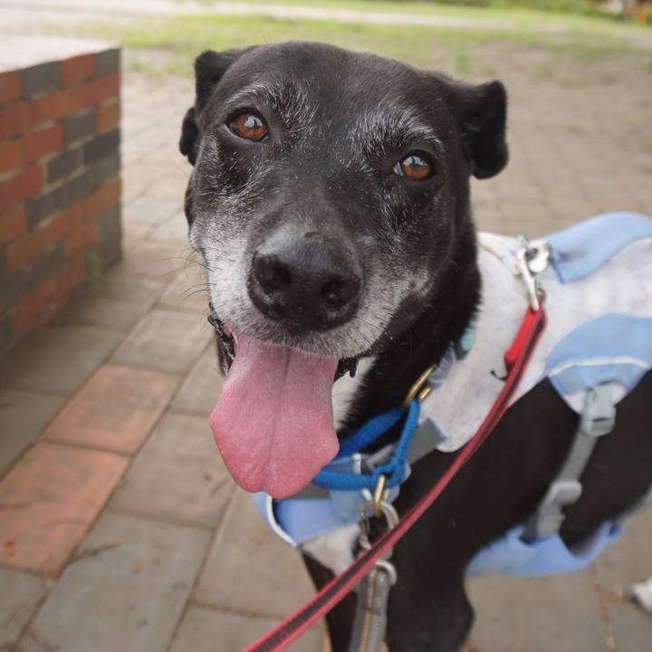 Aaed1097 9f4c 437f a6ad c4134c9a525e 1756080422326