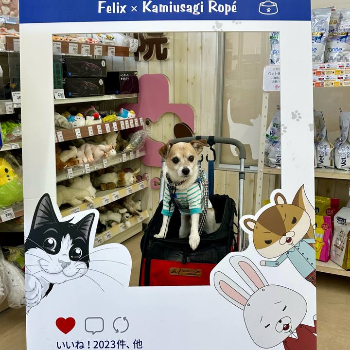 Aaed5620 03ef 4cd4 b02f 8d5ef09d4a06 1683023720696