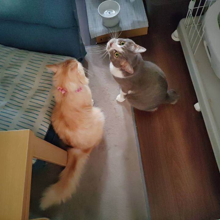 Aaeda729 86e2 4046 927f 90040cb08c1a 1664232097025