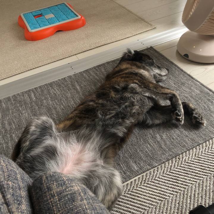 Aaeda8f3 1bfd 4edf 8875 1346af22fa89 1687957946296