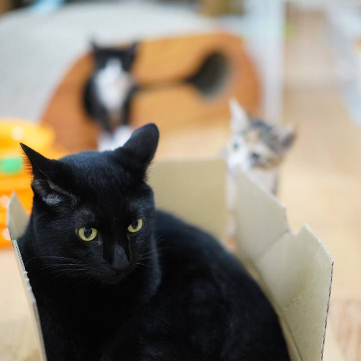 Aaedafec 8029 4724 b99d 28c1e5037c52 1567518765213