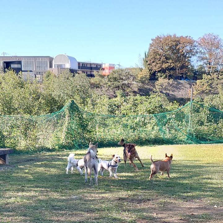 Aaedd1db 9ef7 49d8 825c a77180778a09 1697849840906