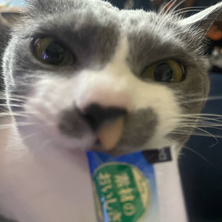 Aaedfbbf ebd6 4e20 9b8f 6894c593dfdb 1709967208568