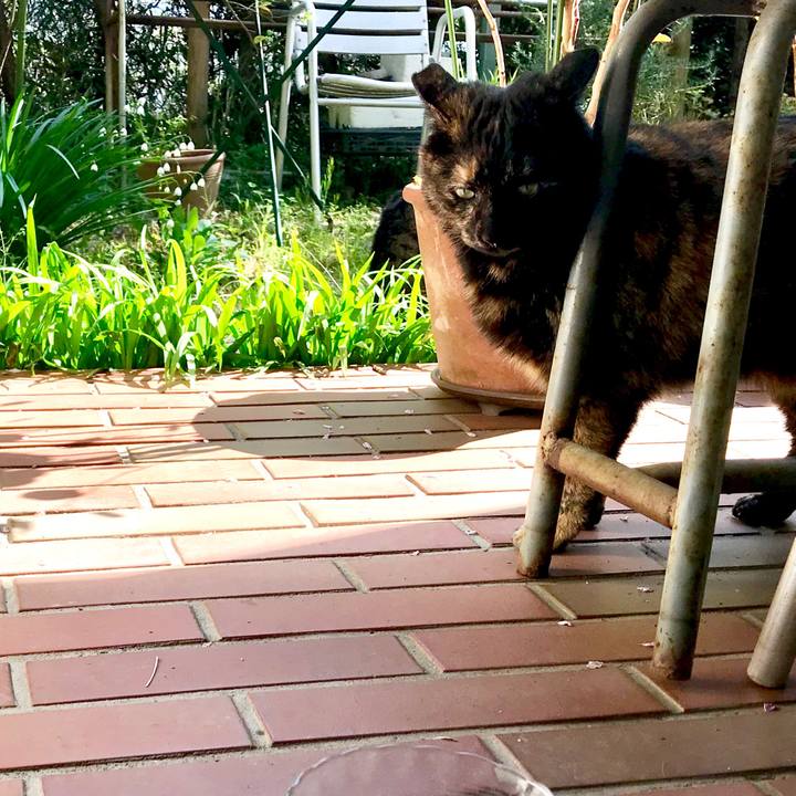 Aaee0cc3 3511 4ae9 8649 6561d6ae7eaa 1522392400429