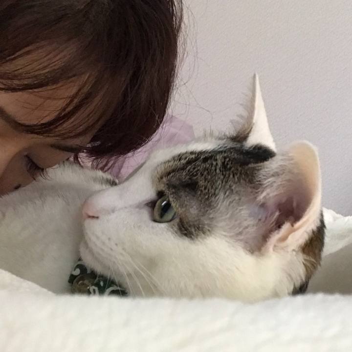 Aaee385e d3af 4b29 bcc3 2a1cac0a70b1 1526262651070