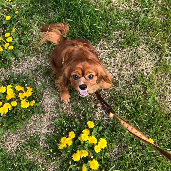 Aaee4484 e94b 43a4 afb3 c0791ab93092 1617411796436