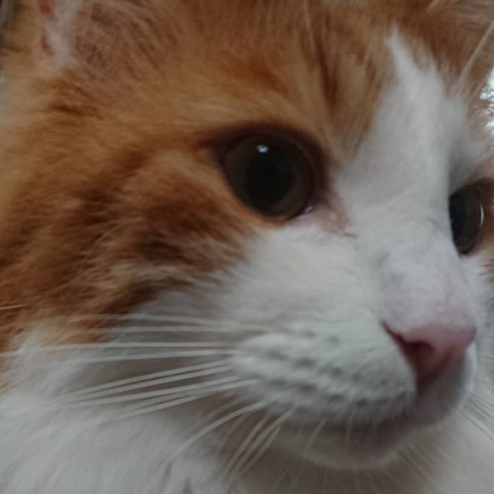 Aaee4dbd 934a 4b2f 860b 52a2de13f223 1533771833463