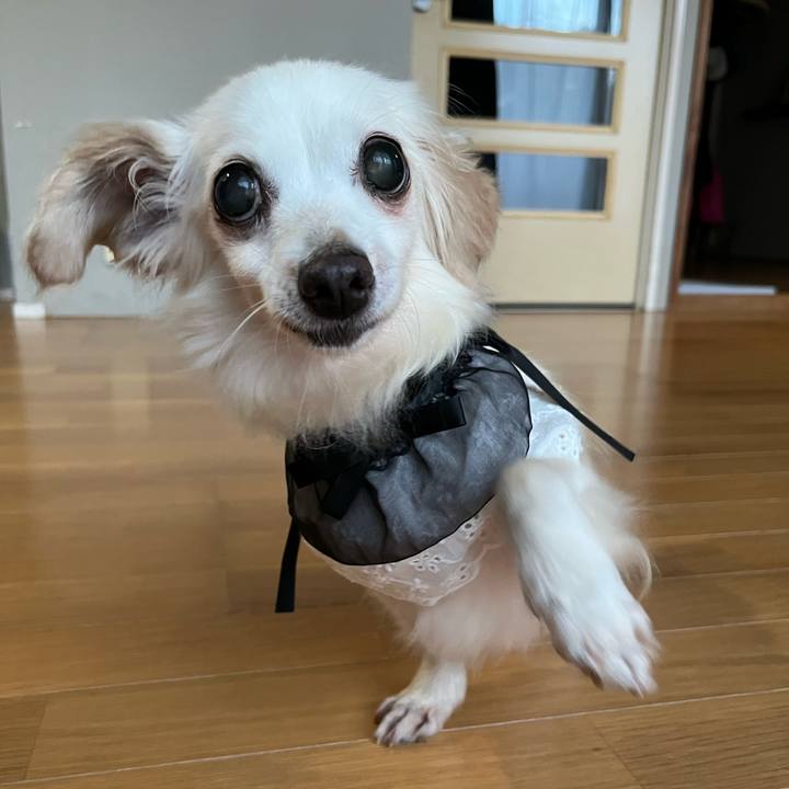 Aaee6492 4bd6 4af2 b04e 4a641353a3d5 1694920078359