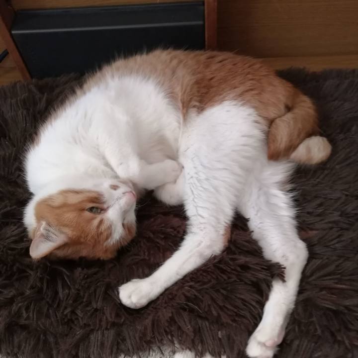 Aaee7daa 30db 4135 be0c 946e30dc1444 1590565593361