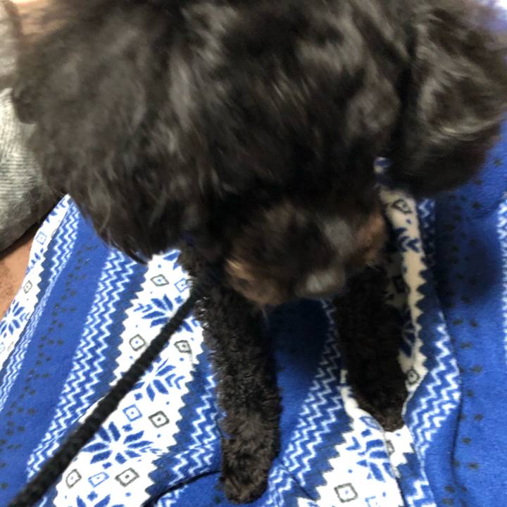 Aaee7ec4 840d 467a 87eb aeeac80fbc5c 1582719310147