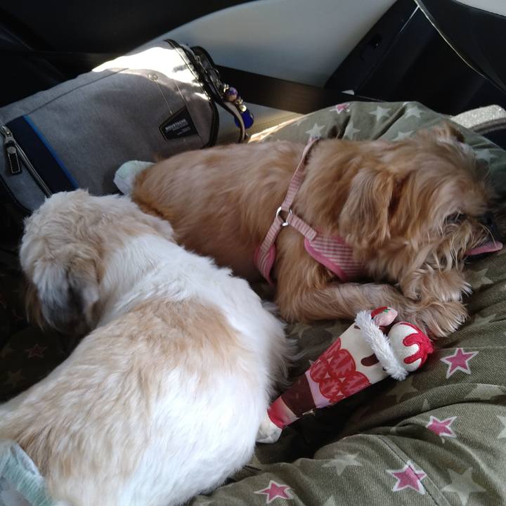 Aaee8808 8257 424e 8b7c c3ef449f012a 1598763041171