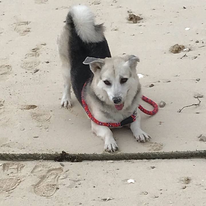 Aaeeaf2e fe0b 4087 886b e553bb2bcccf 1571396759720