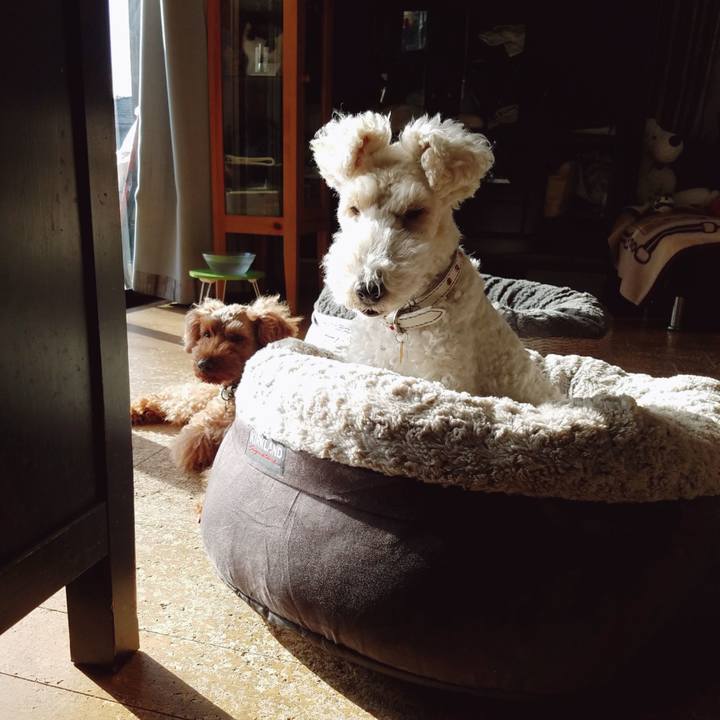 Aaeeb641 0f36 466d 84ee 29a5187b58e1 1543846593166