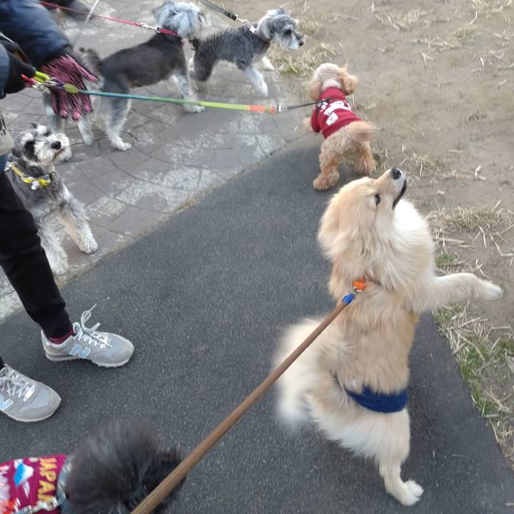 Aaeed884 2a46 4f8e 9215 82b36ec3da00 1738122003370