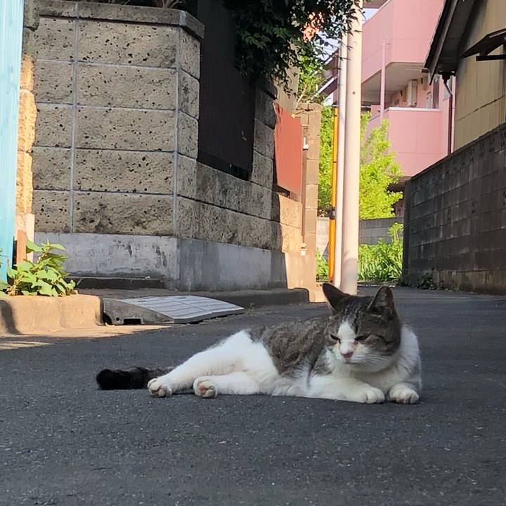 Aaeee73e 8962 445b 8c01 5389513c6138 1524209907540