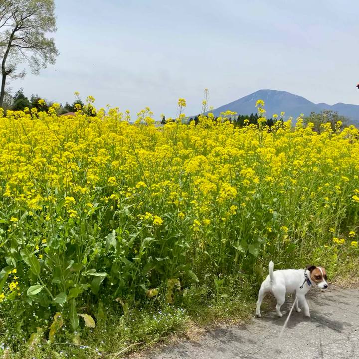 Aaeee7c4 fbde 4e5a 8b3f 480839d1bd2d 1633525206309