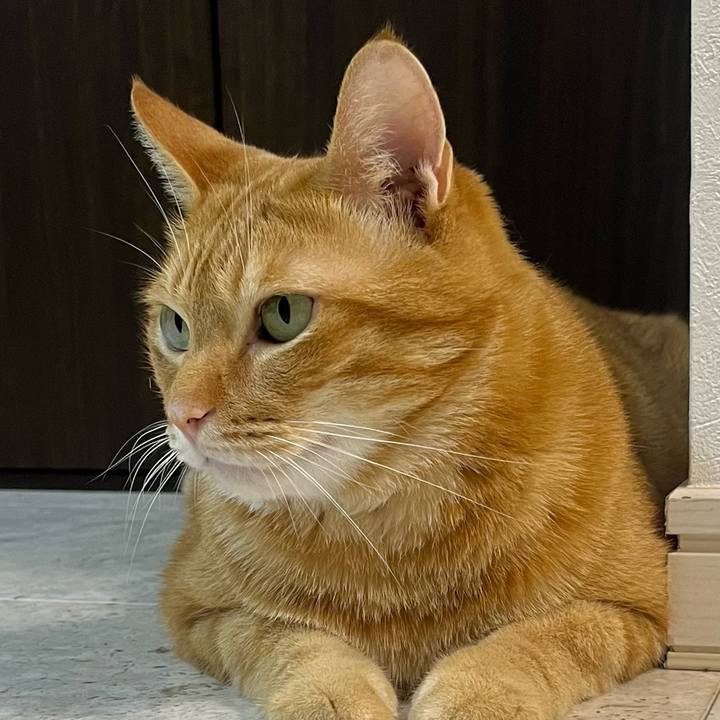 Aaeeec06 1668 45f4 9803 7f31281e50ee 1692568967774