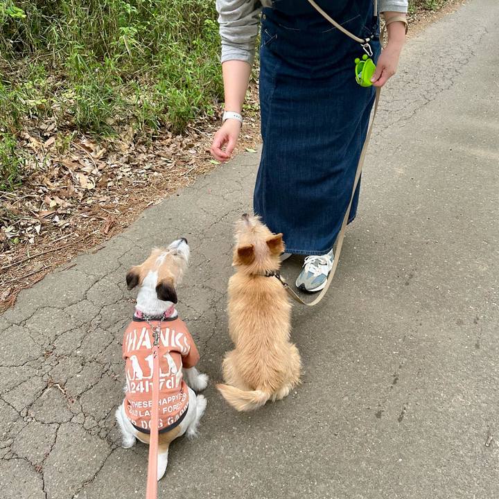 Aaeef1ae 0bde 49f9 9a88 aa75f41bf389 1713711051416