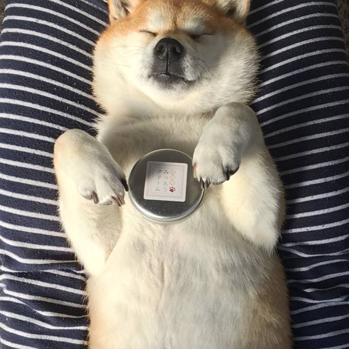 Aaef85cf f79c 4947 bc51 7fc351ec7f42 1610942611317