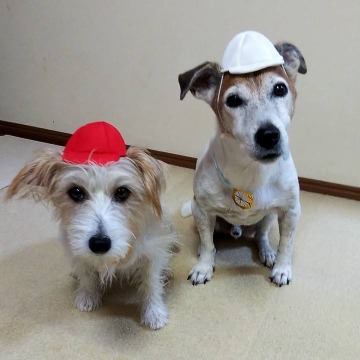 Aaef96ff 56c3 4abf 9b9c c55acca753fd 1538998762326