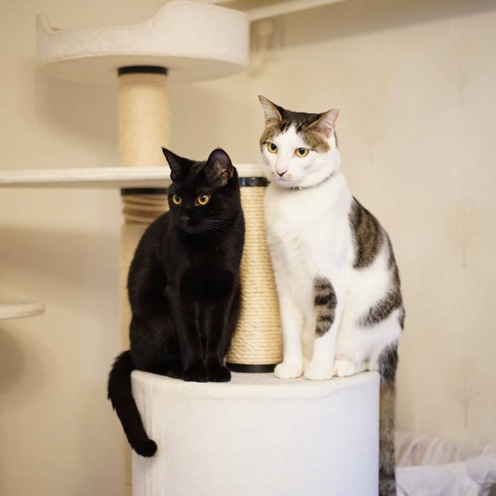 Aaefa92a f1bd 4ddb 9772 1a9ee436bba0 1520257295201