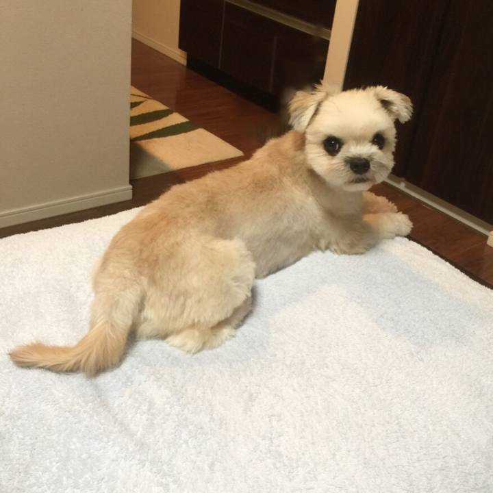 Aaefac5e 30d4 4e2b 9ad5 9aa3c7421404 1536929799716