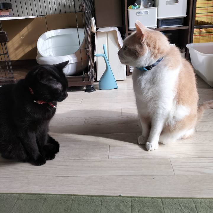 Aaeff39c 5061 4471 841b f30d07a25ad4 1647819196891