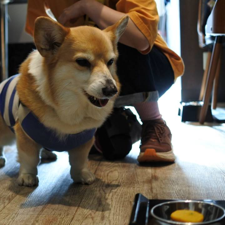 Aaf03a41 0ac5 47cf 9130 33970a3ab614 1714228853266