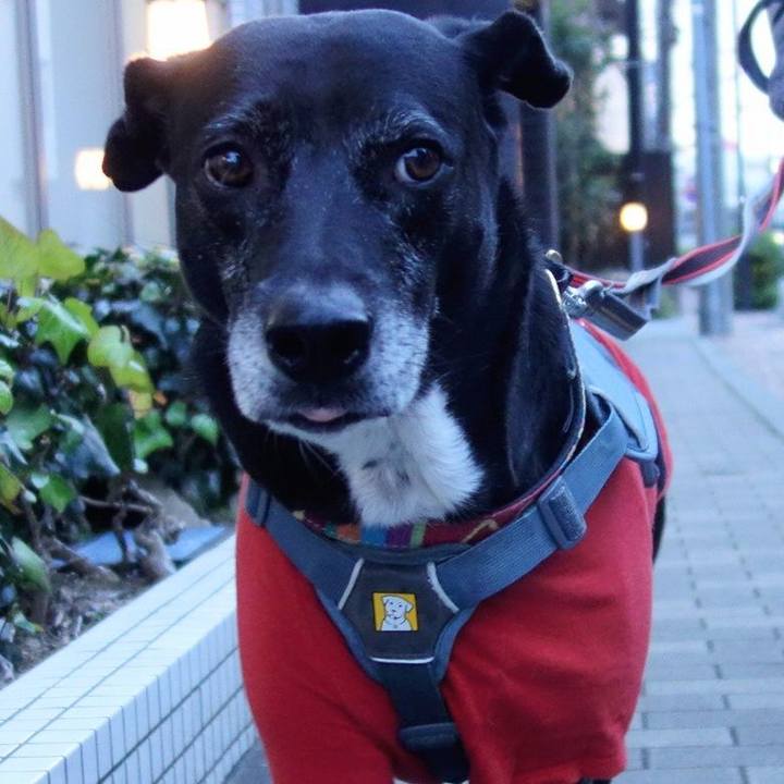 Aaf09835 93c4 4184 8320 e7d4ca59b41e 1734567426833