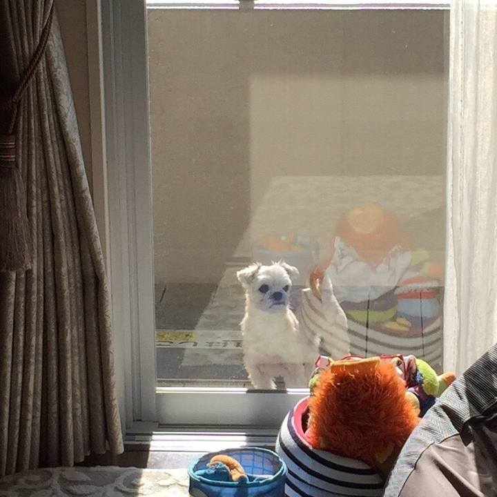 Aaf09aee 7b60 4393 a738 982737153c29 1549090668569