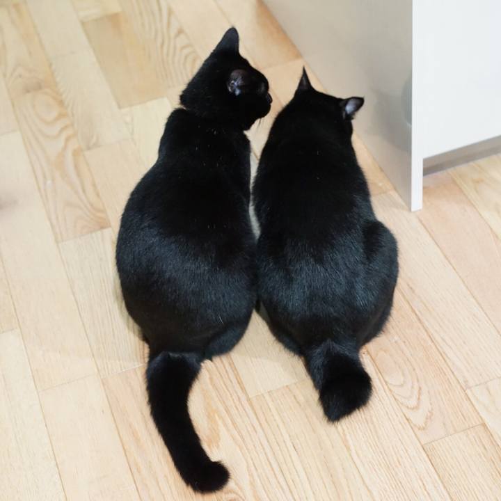 Aaf0d340 664b 49b9 9fb4 c477163dc748 1535068528847