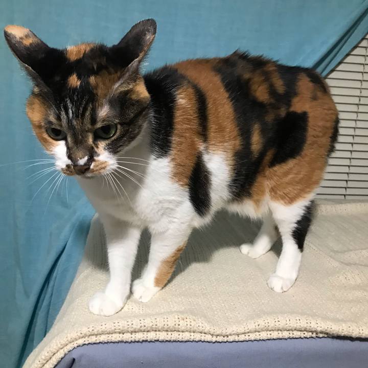 Aaf0e498 bbef 4327 a014 d0b785770850 1612890412454