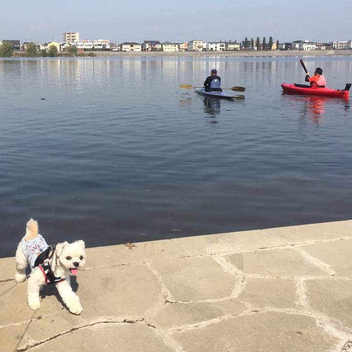 Aaf0f857 b5e9 4103 afe8 a726d66ff51b 1509784379688