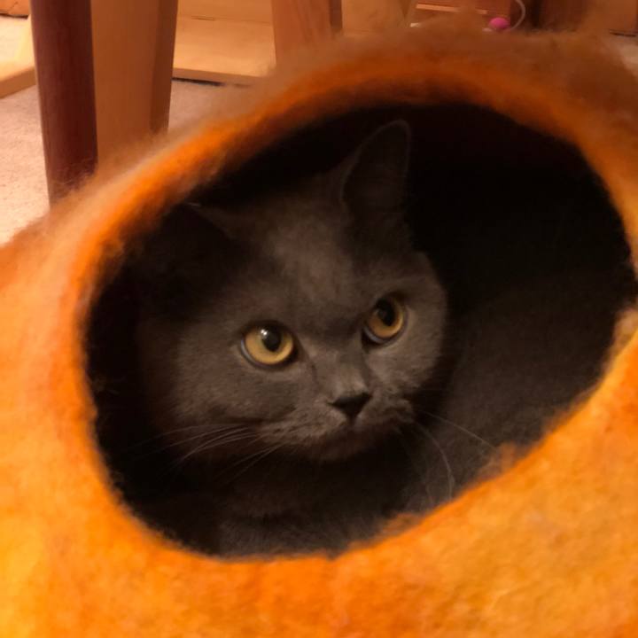 Aaf18606 deba 42fd 8684 9120c409db27 1541406431263