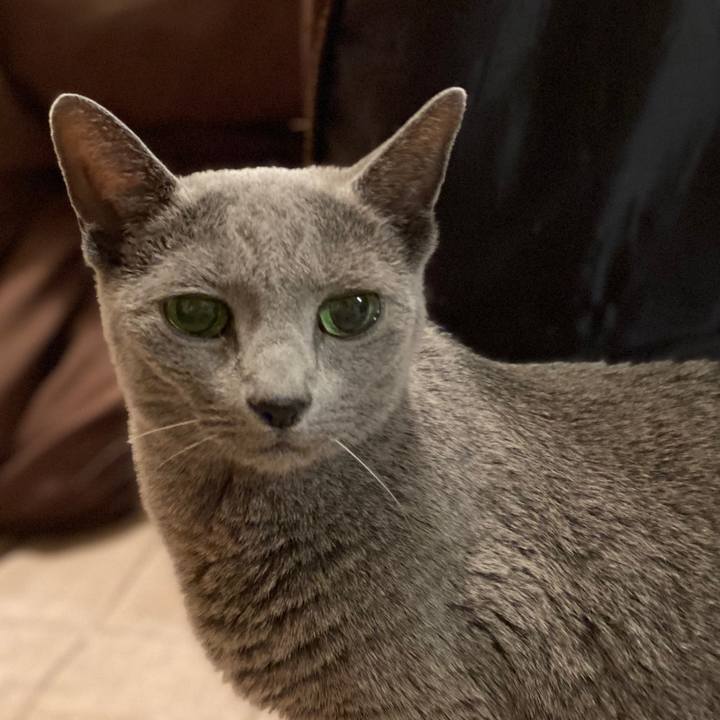 Aaf1c567 4bdc 4477 b7ff 0efe8d1df923 1577103850700