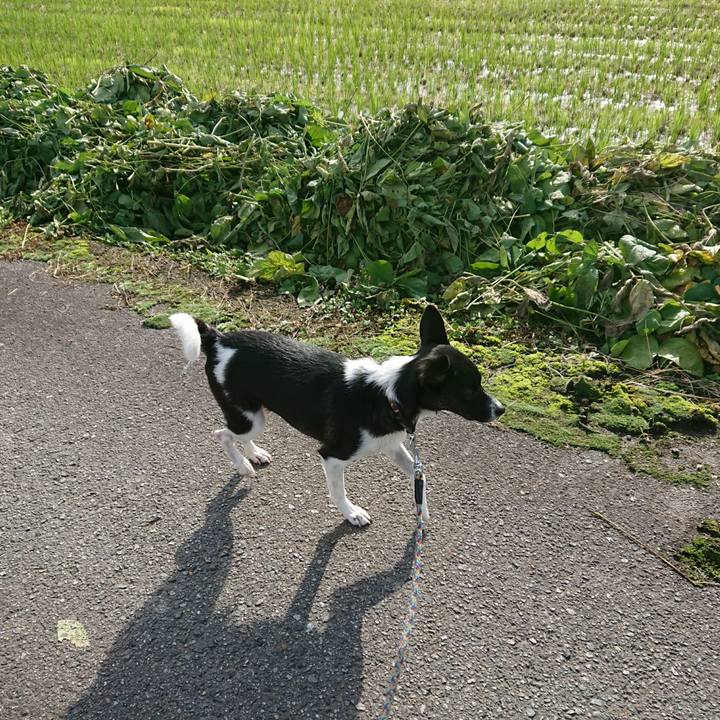 Aaf214d2 e79a 4ba5 a12a 730c6bbb4efa 1508299578541