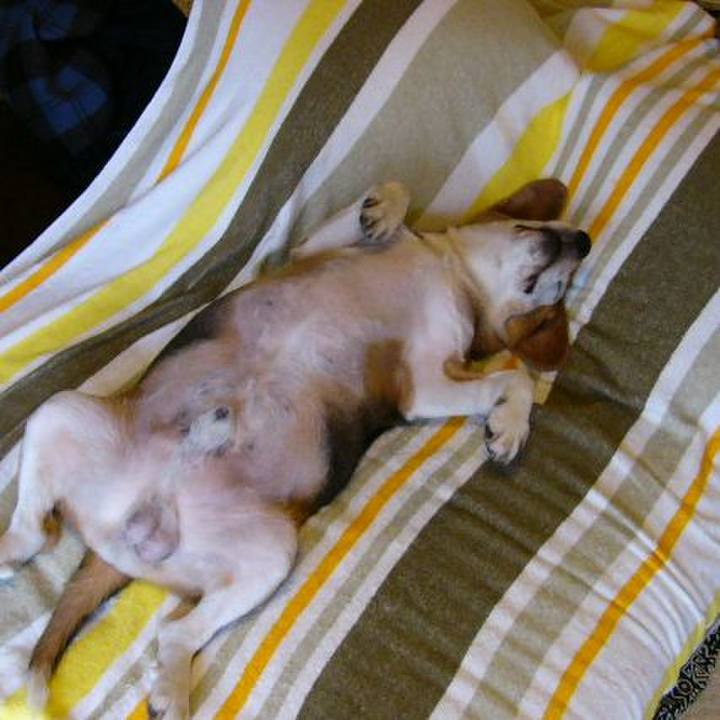 Aaf24abe 0001 4287 b8ca 9cc78b5fd088 1639787454341