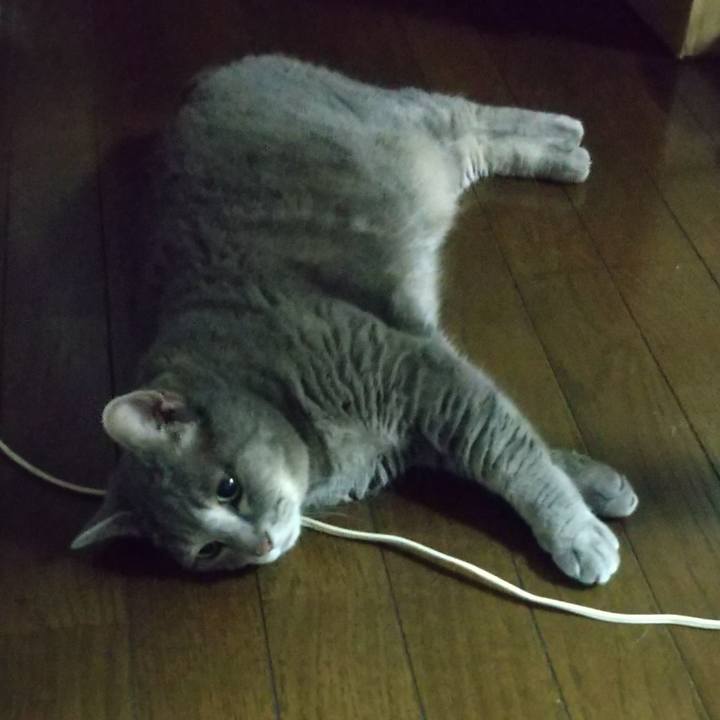 Aaf260b5 03e5 44cd 9369 4cbd89f224e8 1626863913095