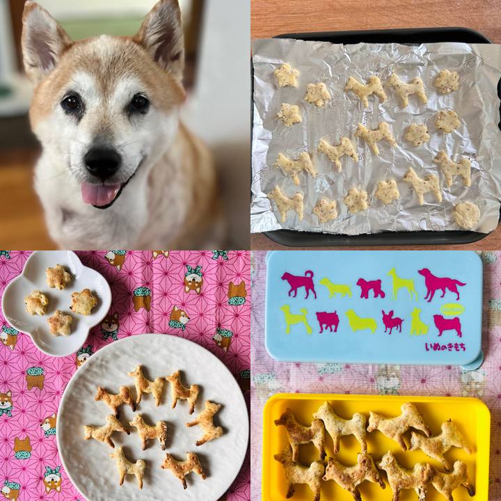 Aaf28311 6044 488a b691 3bb985007e59 1757215439921